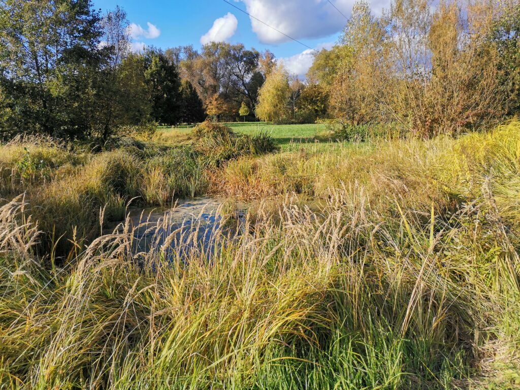 Říční krajina Parku meandr Ohře